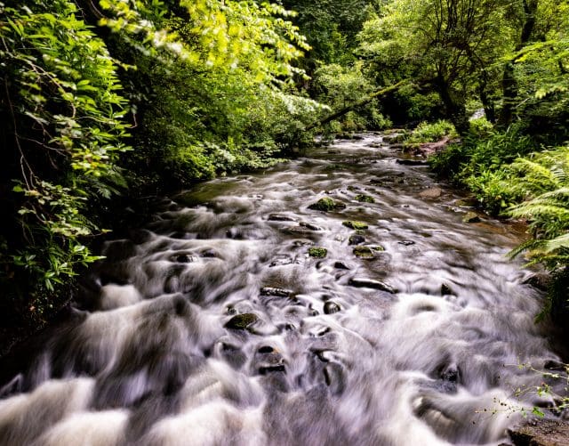 Auldhouse Burn at Rouken Glen Park, Giffnock, East Renfrewshire, Glasgow south side, Scotland.